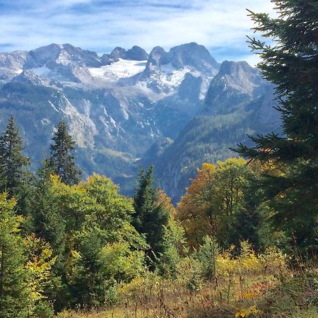 Dachstein Mountainview Gosau Apartment Ngoại thất bức ảnh