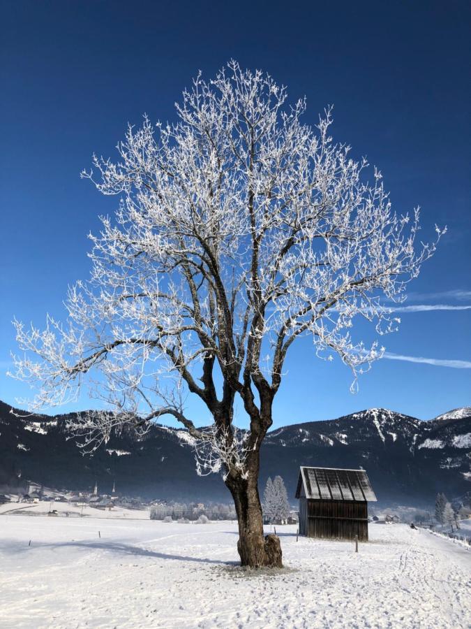 Dachstein Mountainview Gosau Apartment Ngoại thất bức ảnh