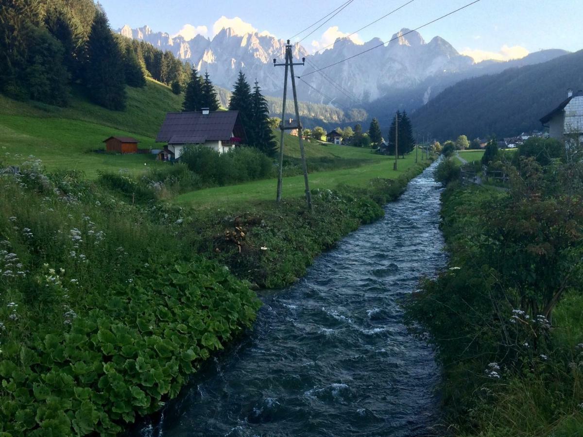 Dachstein Mountainview Gosau Apartment Ngoại thất bức ảnh