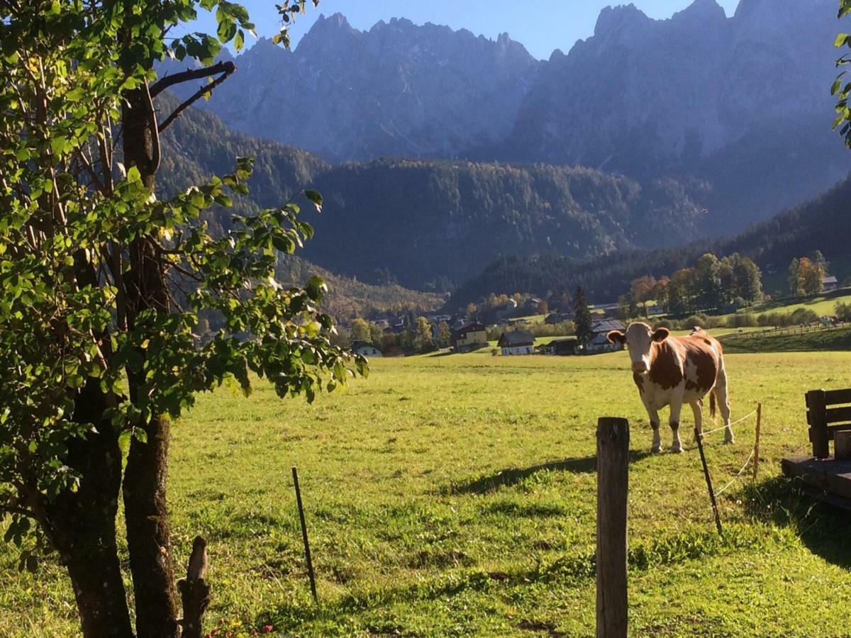 Dachstein Mountainview Gosau Apartment Ngoại thất bức ảnh