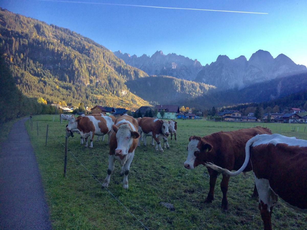Dachstein Mountainview Gosau Apartment Ngoại thất bức ảnh