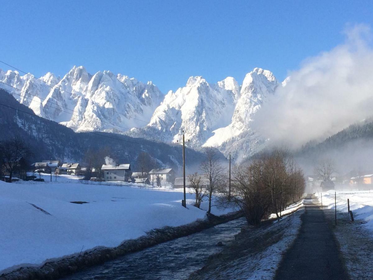 Dachstein Mountainview Gosau Apartment Ngoại thất bức ảnh