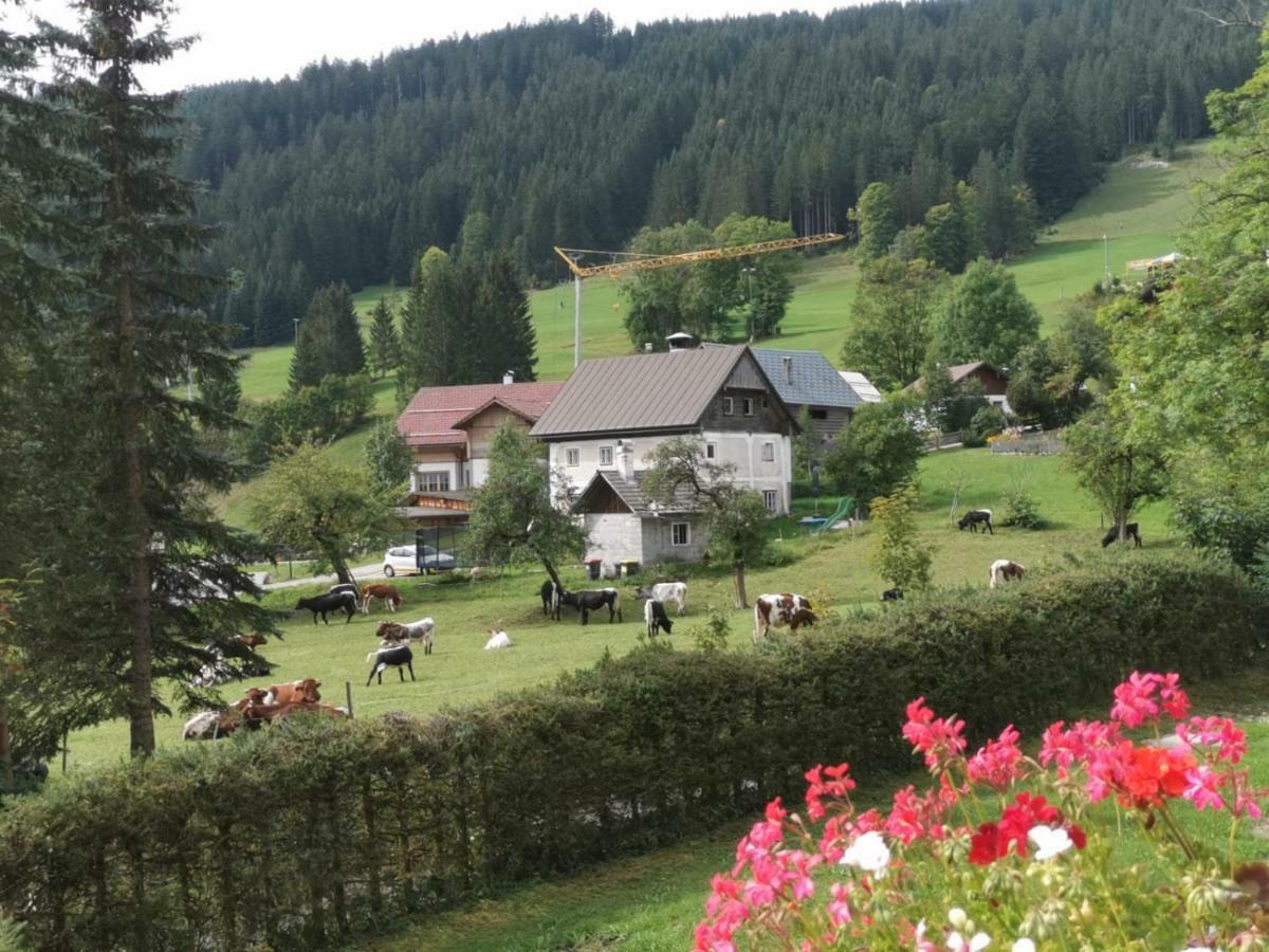 Dachstein Mountainview Gosau Apartment Ngoại thất bức ảnh